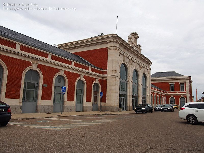 Estación de Medina del Campo